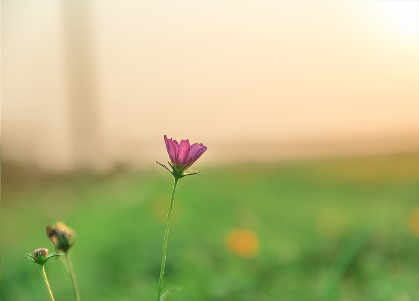 和老公过不下去应该和父母说吗,跟老公过不下去了还要孩子吗