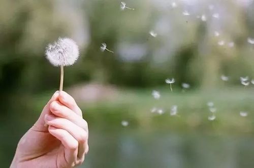 想要摆脱焦虑症要做到以下三点,怎么能摆脱焦虑症有个好心情