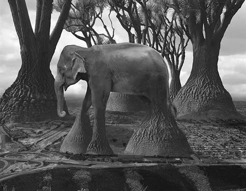 李贺经典诗句赏析,诗鬼李贺经典诗词六句