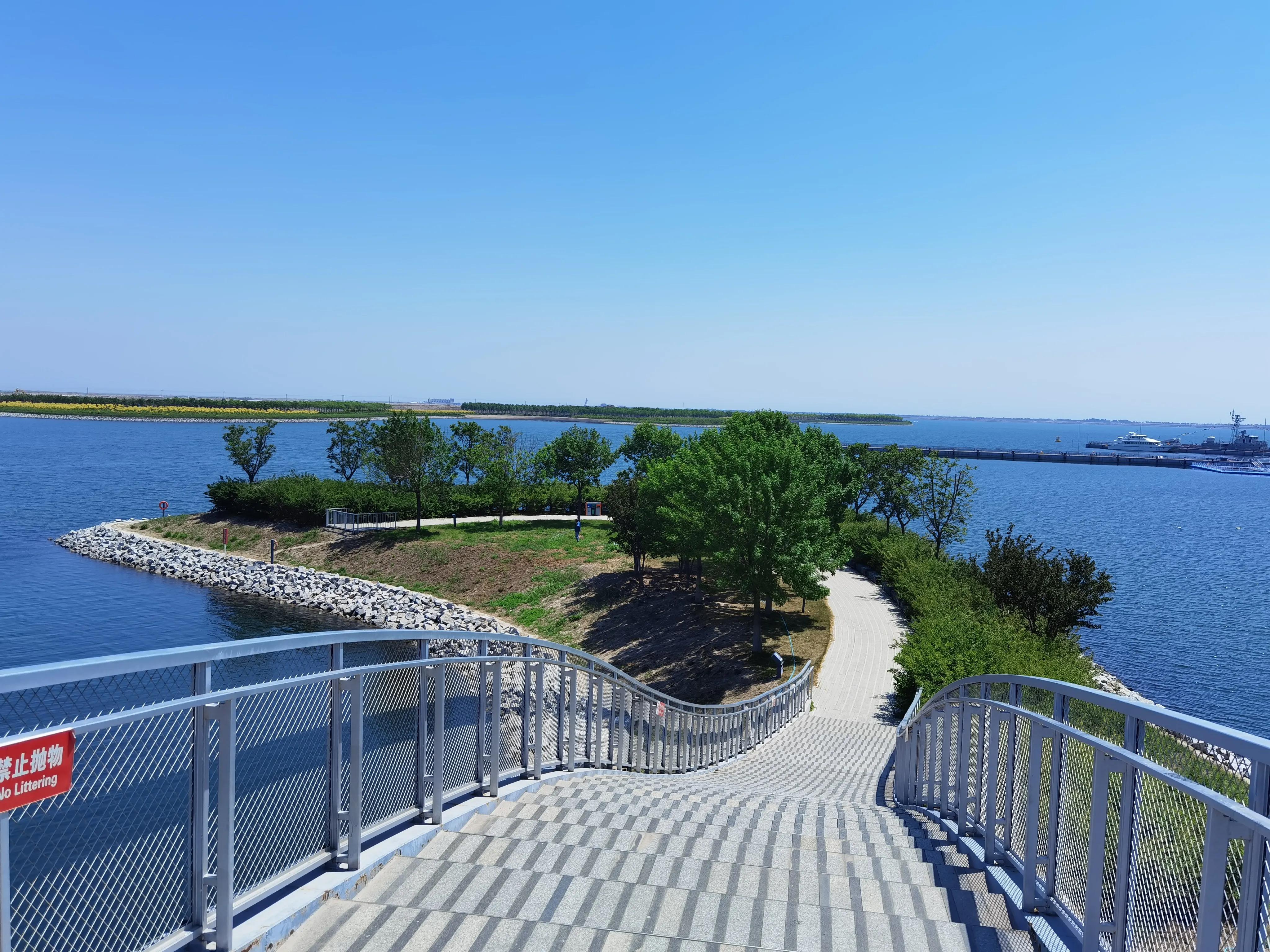 南湾海洋动物公园,国家海洋博物馆和南湾公园哪个好