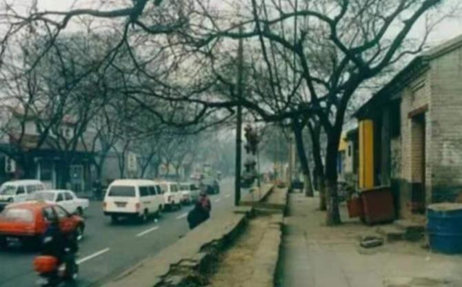 荷兰姑娘米拉,荷兰姑娘米拉和杨宝禄的爱情故事