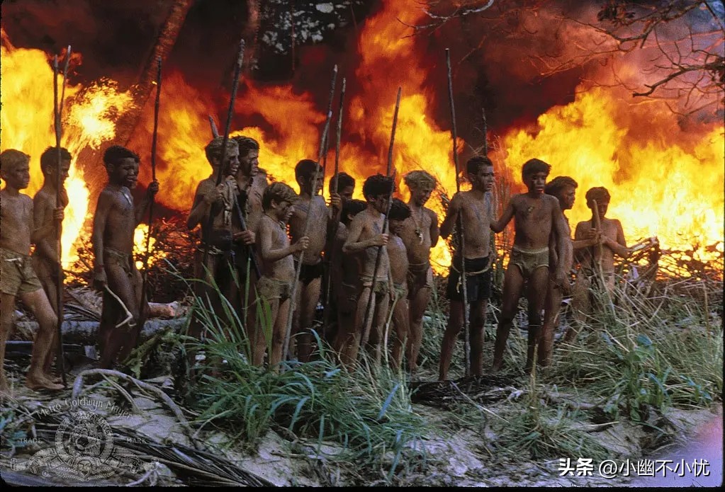 《蝇王》：小男孩的“荒岛现形记”，人性本恶的“试验场”