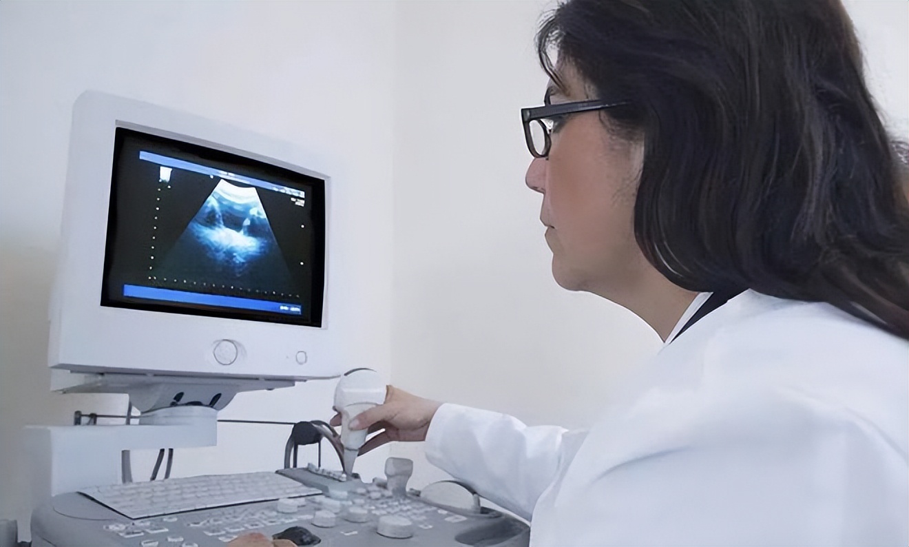 夫妻借了20万做试管婴儿,黑龙江夫妇借22万做试管