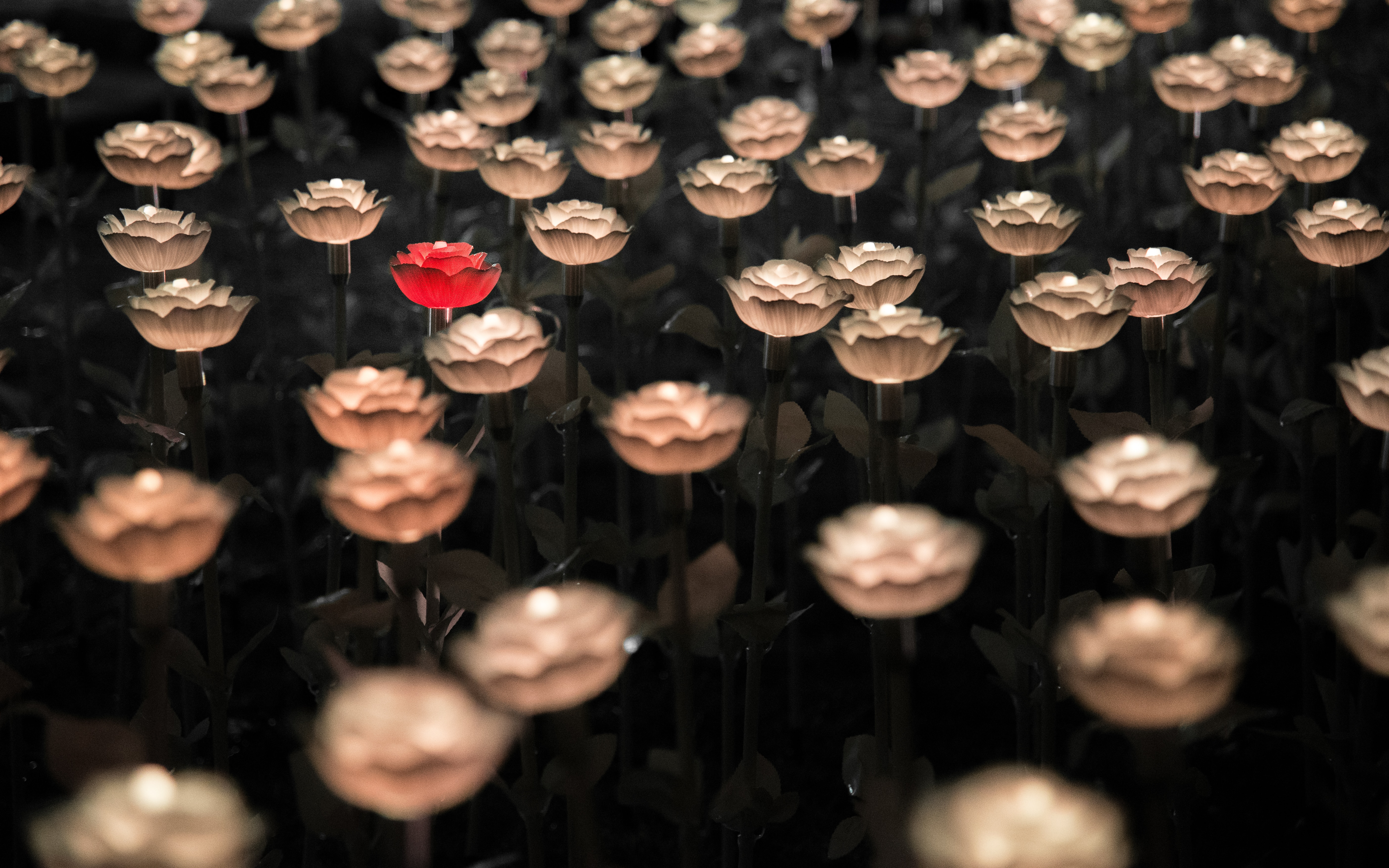 19岁做更好的自己加油努力,19岁做自己想做的事