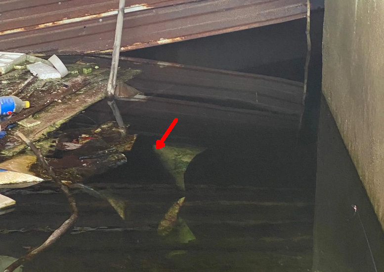 废弃停车场变鱼塘,深圳车库积水变鱼塘