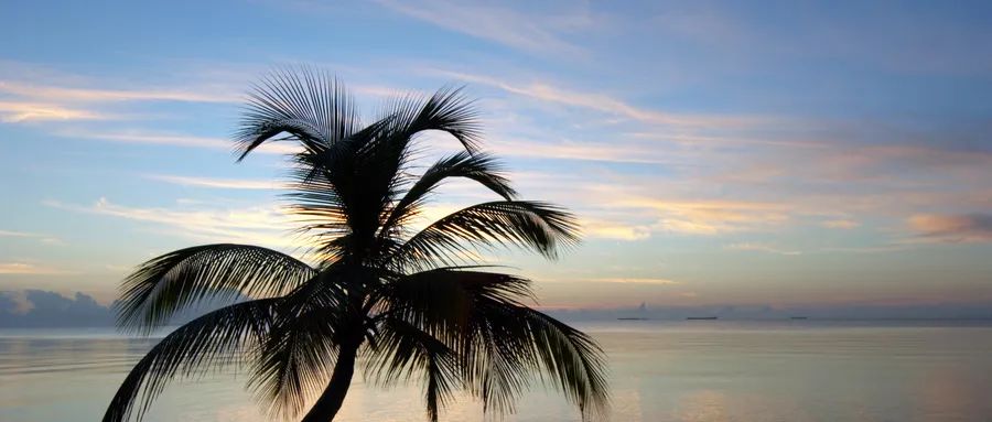 移民圣基茨的优势和劣势,移民圣基茨的弊端