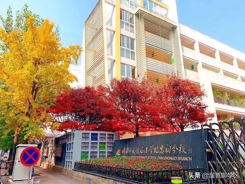 哪些小区上成都七中水井坊校区,哪些小区对口七中育才水井坊