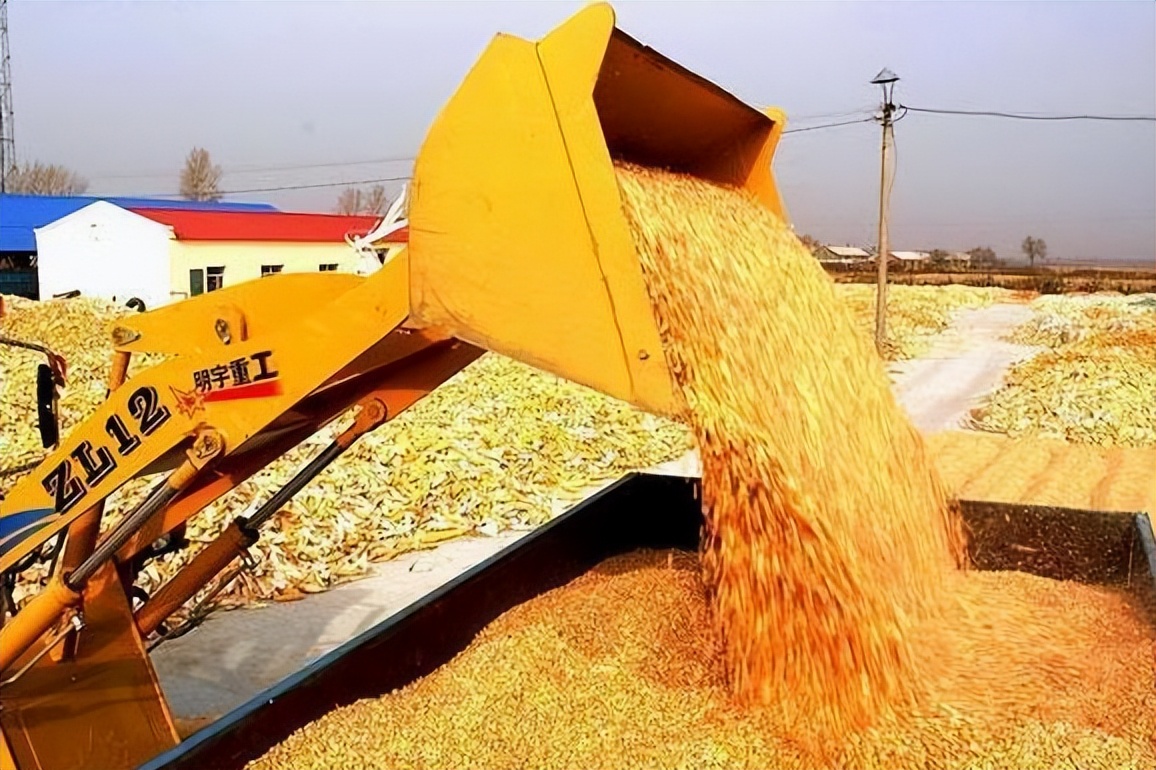 俄开发海参崴对俄国影响,俄罗斯向我国开放海参崴港口吗