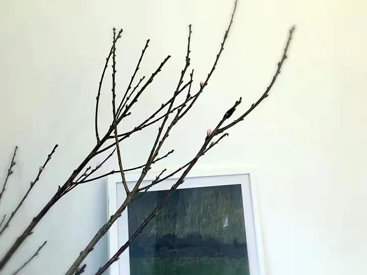 如何花最少的钱改造出租屋,怎样花最少的钱布置出租房