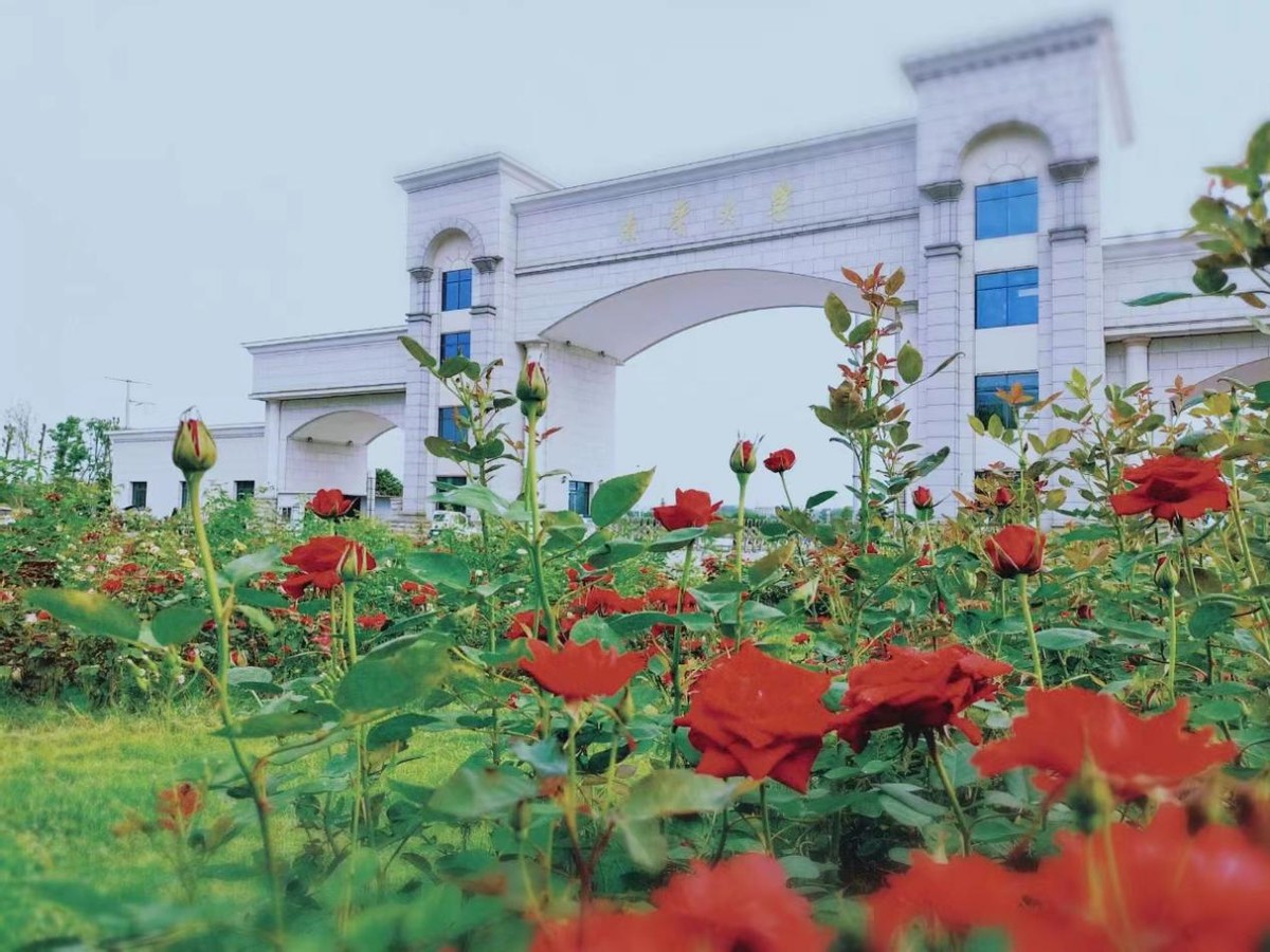 部委与地方共建高校,国家5部委直属高校