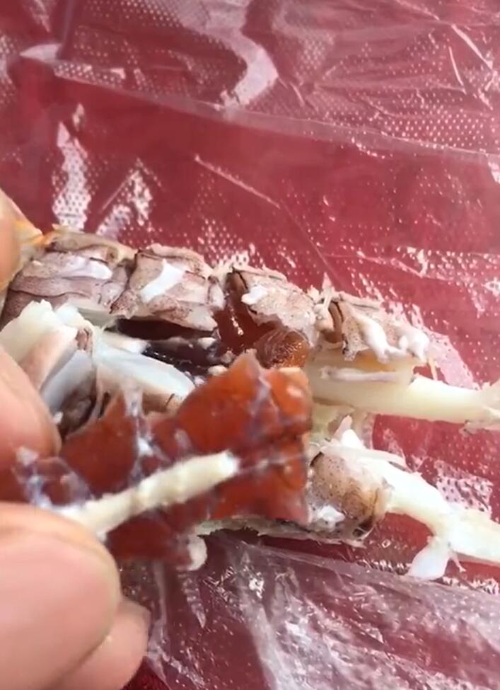 辟谣大连“虾爬子”注胶,博主造谣虾爬子注胶被处罚