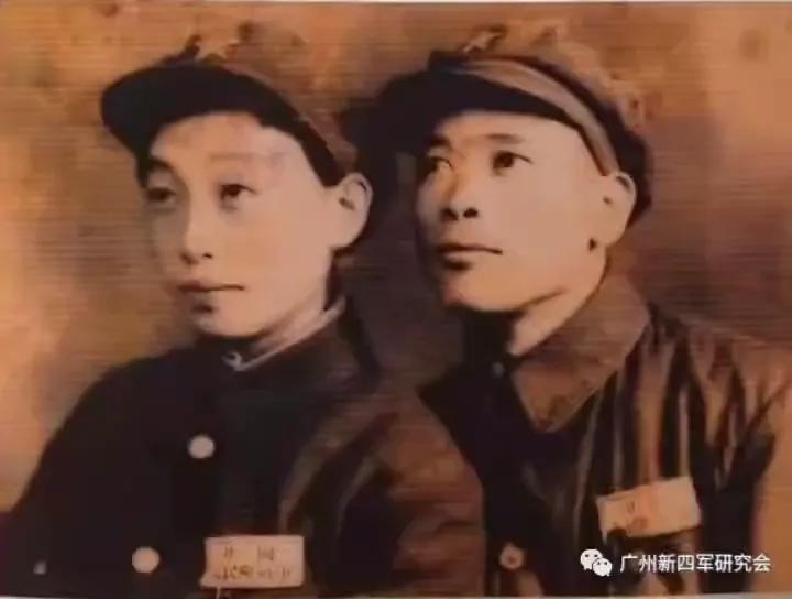 满清贵族后裔的十位明星,满清贵族后裔现状