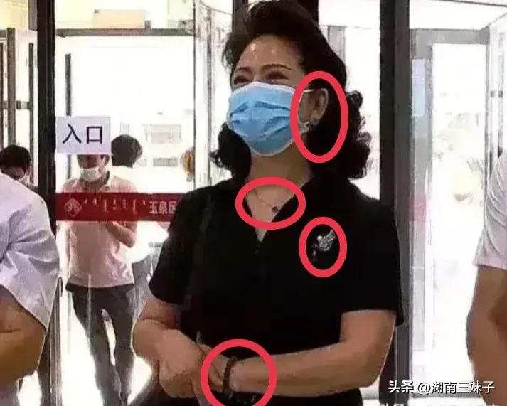 李少莉戴胸针照片,李少莉的胸针什么牌子