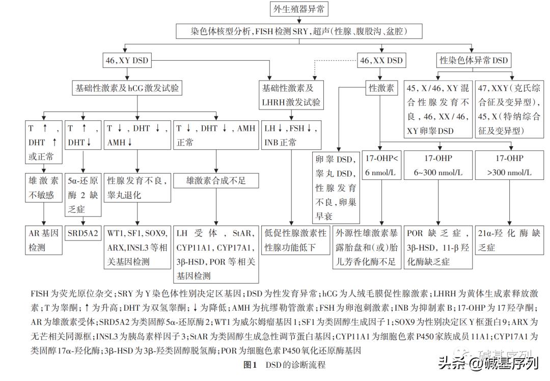 怀孕了第一胎宝宝会知道么,怀孕胎儿外貌什么时候确定