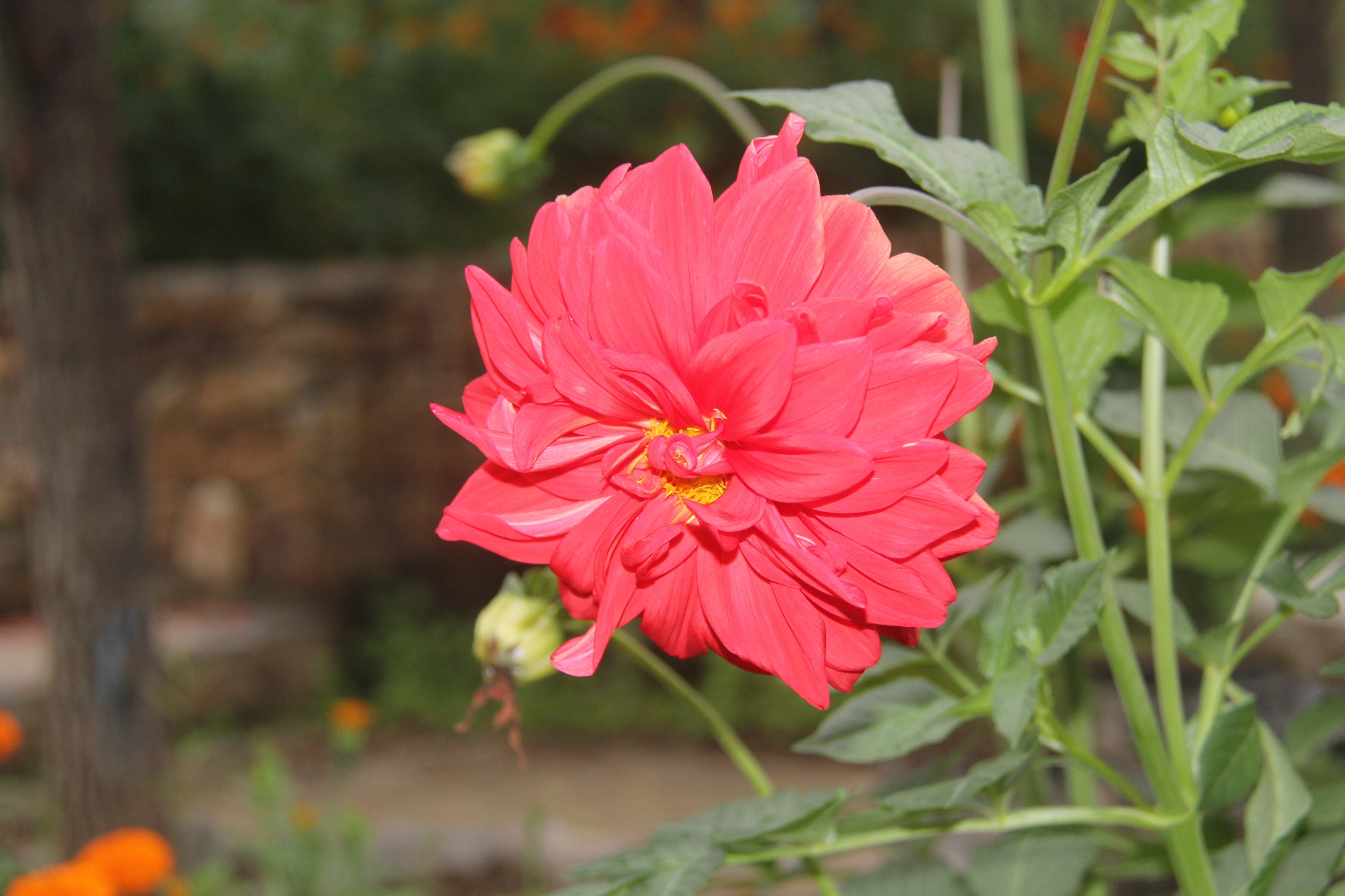 巴山夜雨古诗朗诵,巴山夜雨李商隐古诗朗读