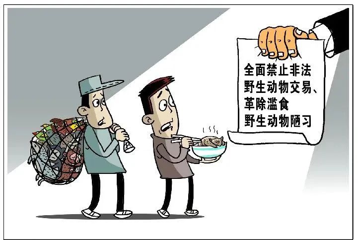 非法抓野兔会被判刑吗,男子抓野兔被刑拘涉嫌非法狩猎罪