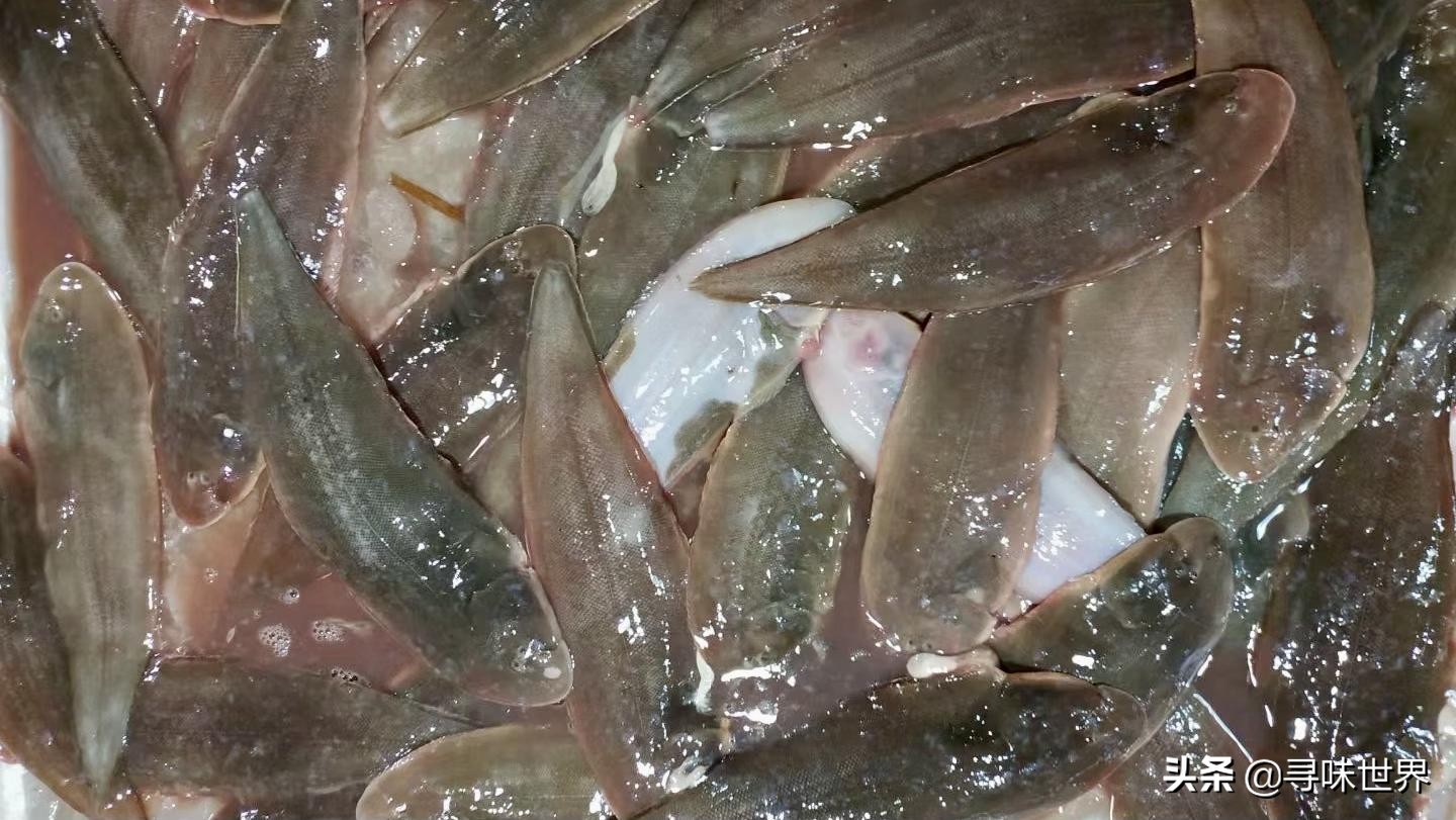 常见家常海鱼品种大全及图片,最好吃的海鱼品种大全及图片