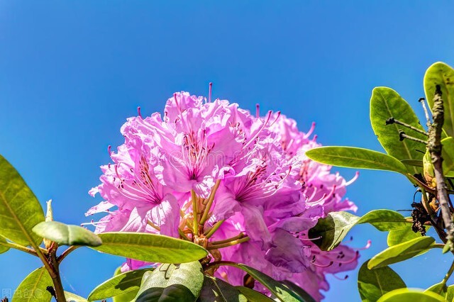 让自己开心的100种方法视频,六种让自己瞬间开心的方法