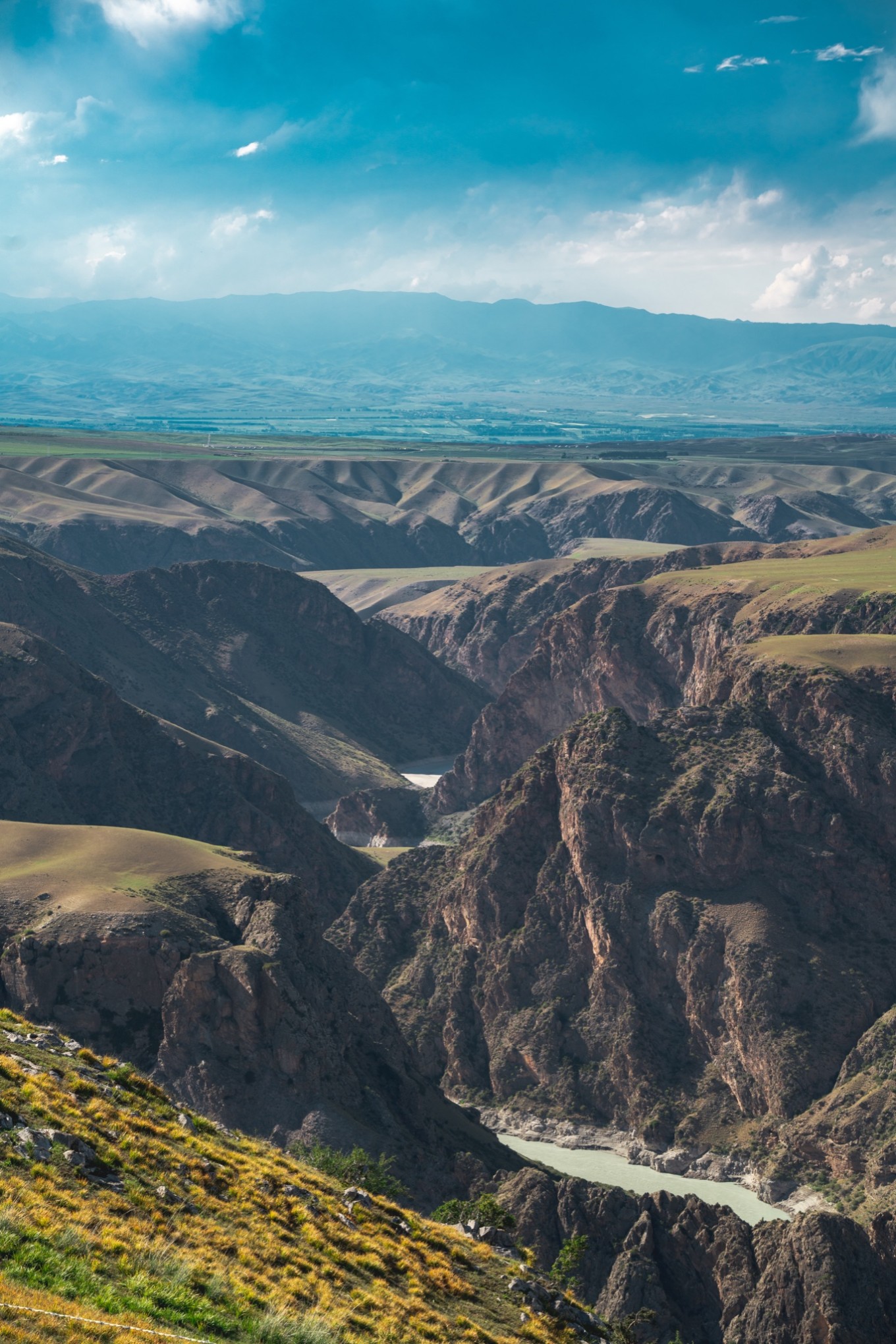 新疆伊犁之美,走了一圈才发现世界万物远不及你