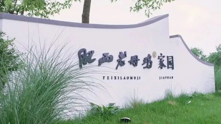 孩子们的快乐星球！周末带娃，肥西这些地方就够啦！