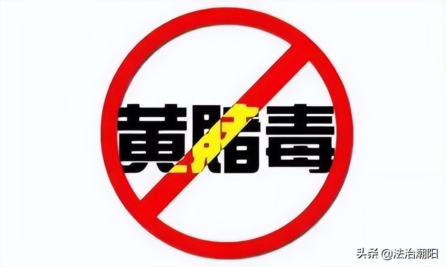 通过网站域名可以了解什么,域名那点事儿