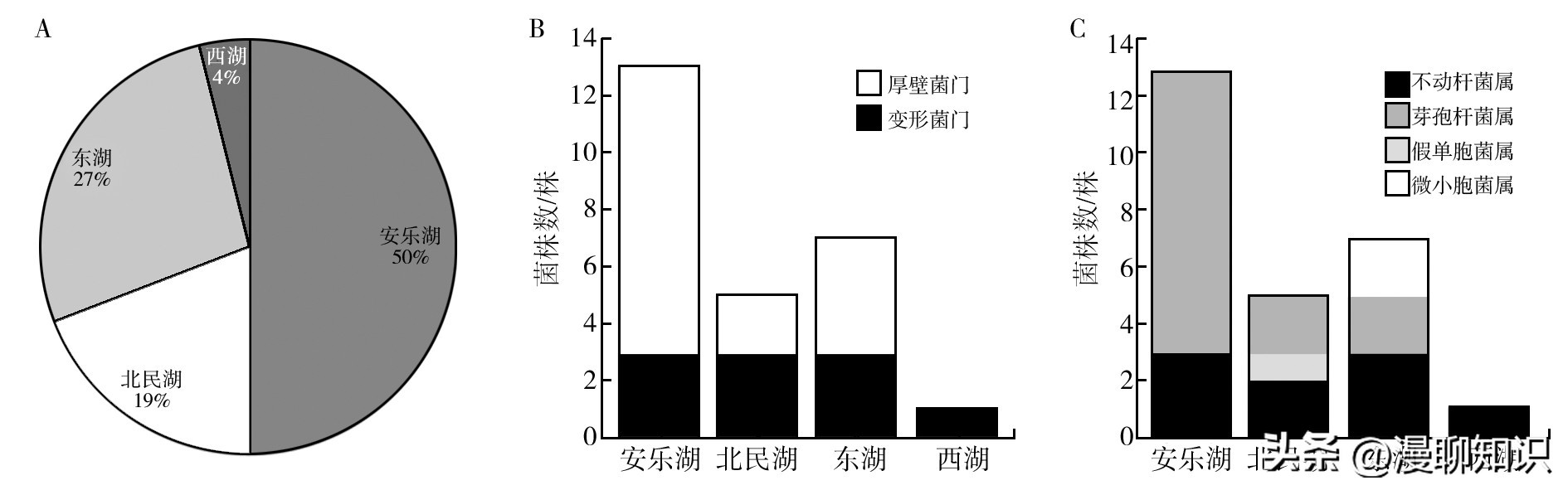 几丁质在水产的作用与功效,几丁质酶的本质