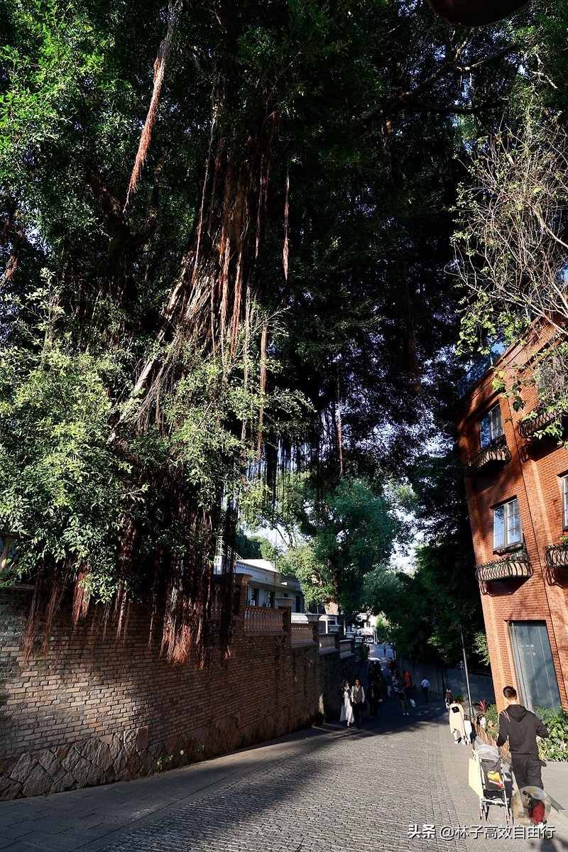 福州有哪些特色玩的,福州市区游玩攻略