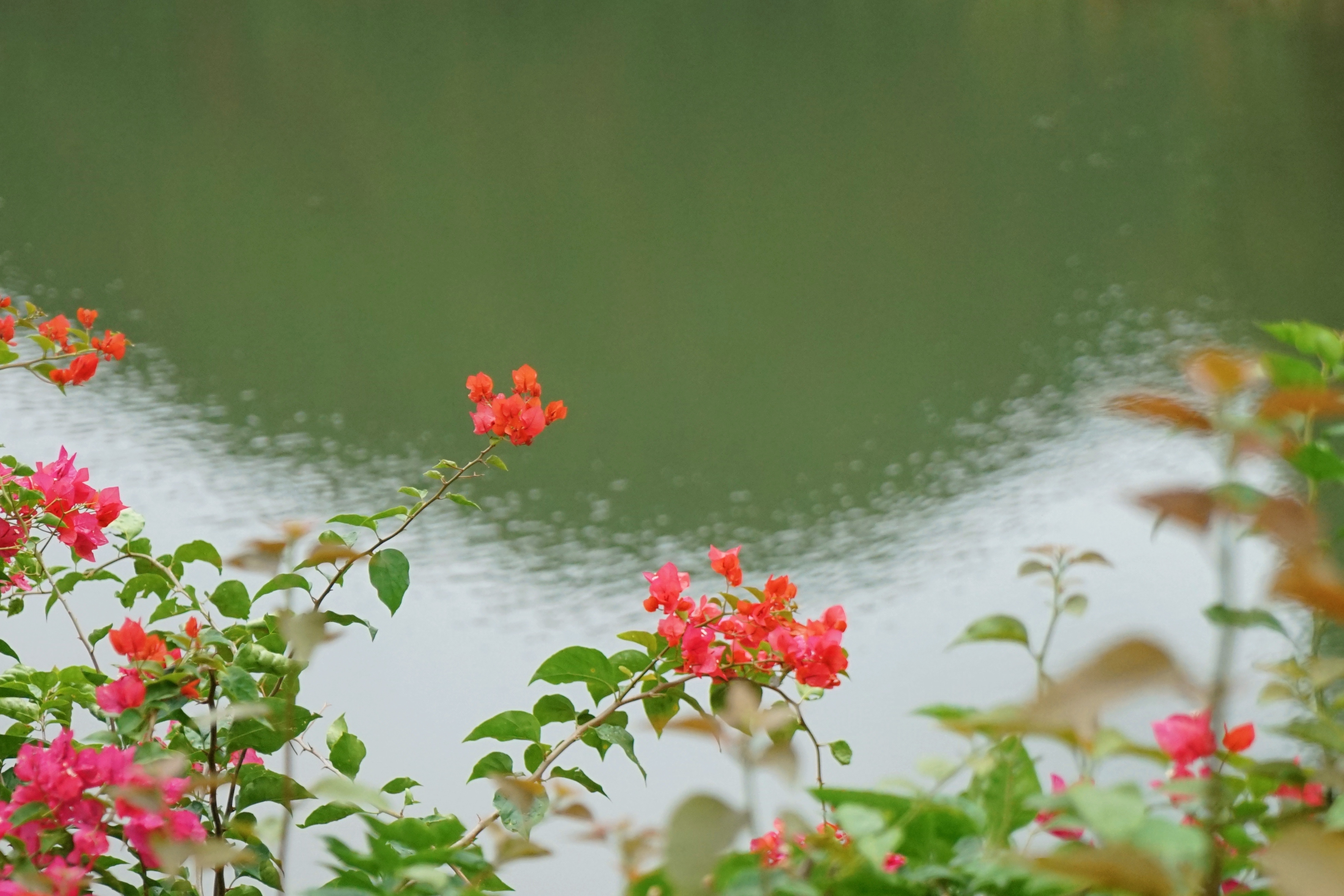 寒露愿君安康!15首诗词带您绝美寒露天,第一首就被美到了