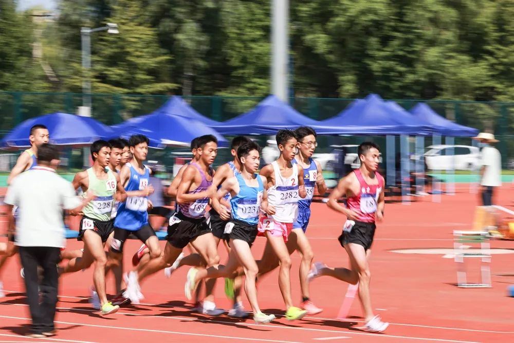北京第十六届运动会石景山奖牌榜,北京市第十六届运动会朝阳赛场