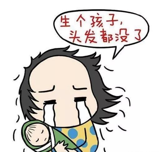 太“秃”然！如何守住“头”等大事