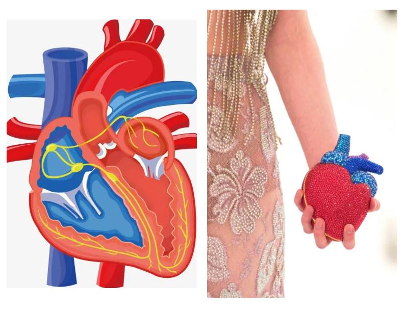奢侈大牌推出大葱包、黄瓜包？！网友吐槽：蘸酱吃咱能炫几个…