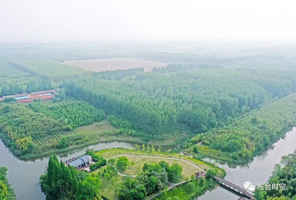 东台城市发展规划,东台发展最好的区域