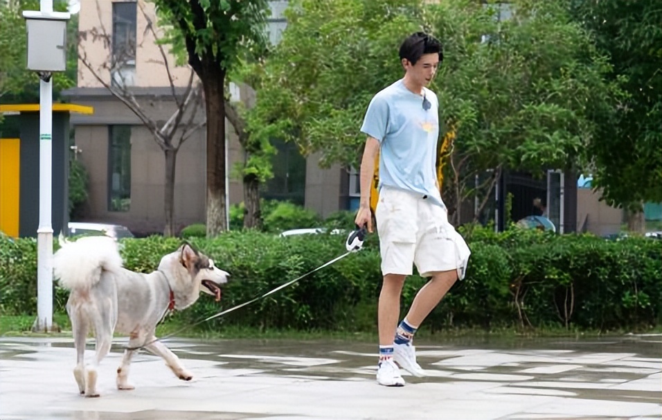中国地质大学武汉好还是北京好,中国地质大学和武汉哪个更强