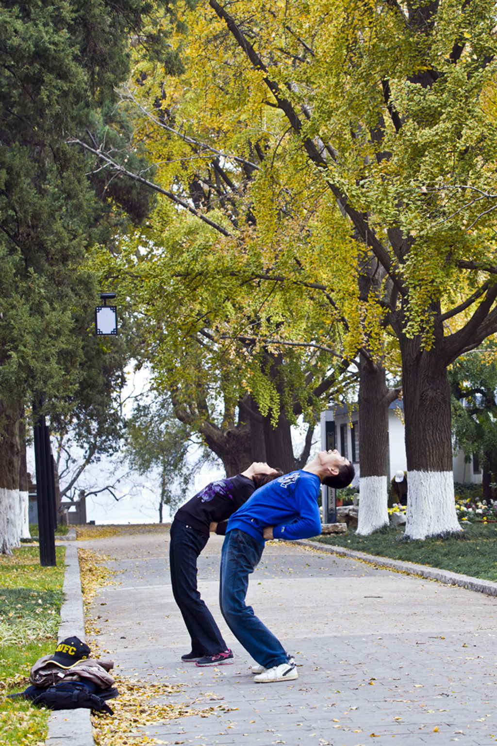 南京玄武湖游览指南,南京玄武湖几级景区