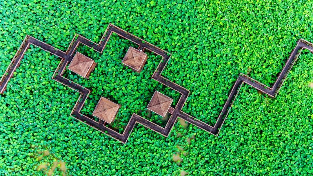 南宁徐霞客出游攻略,徐霞客在广西住了多少年