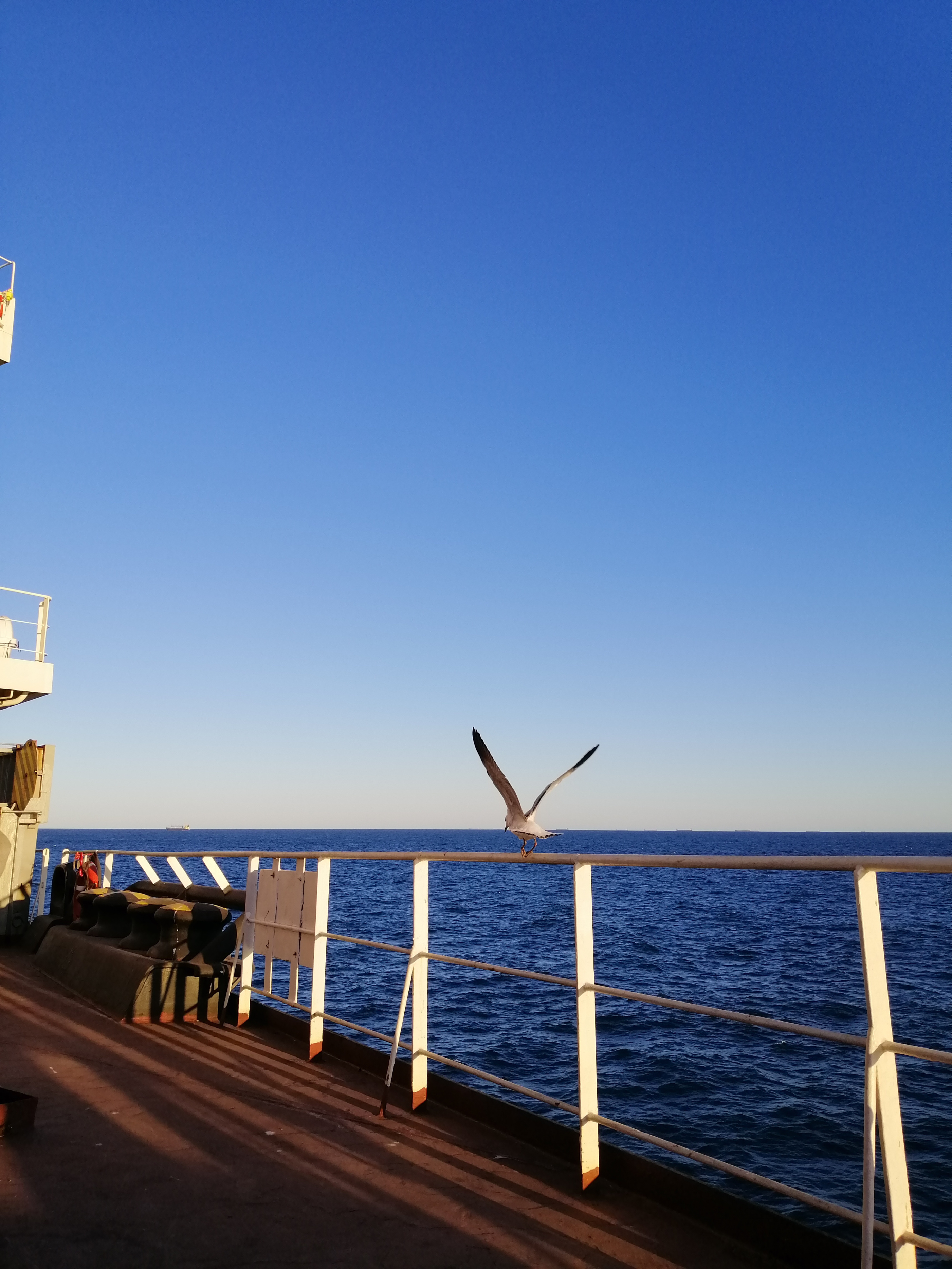 鑸捣娴峰憳鏃ヨ,鑸捣鏃ヨ娴峰憳