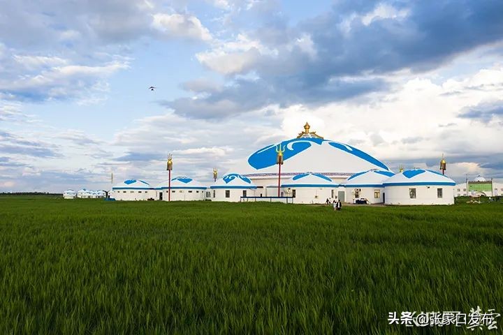 来坝上草原的第二天,来内蒙古天空草原感受慢生活