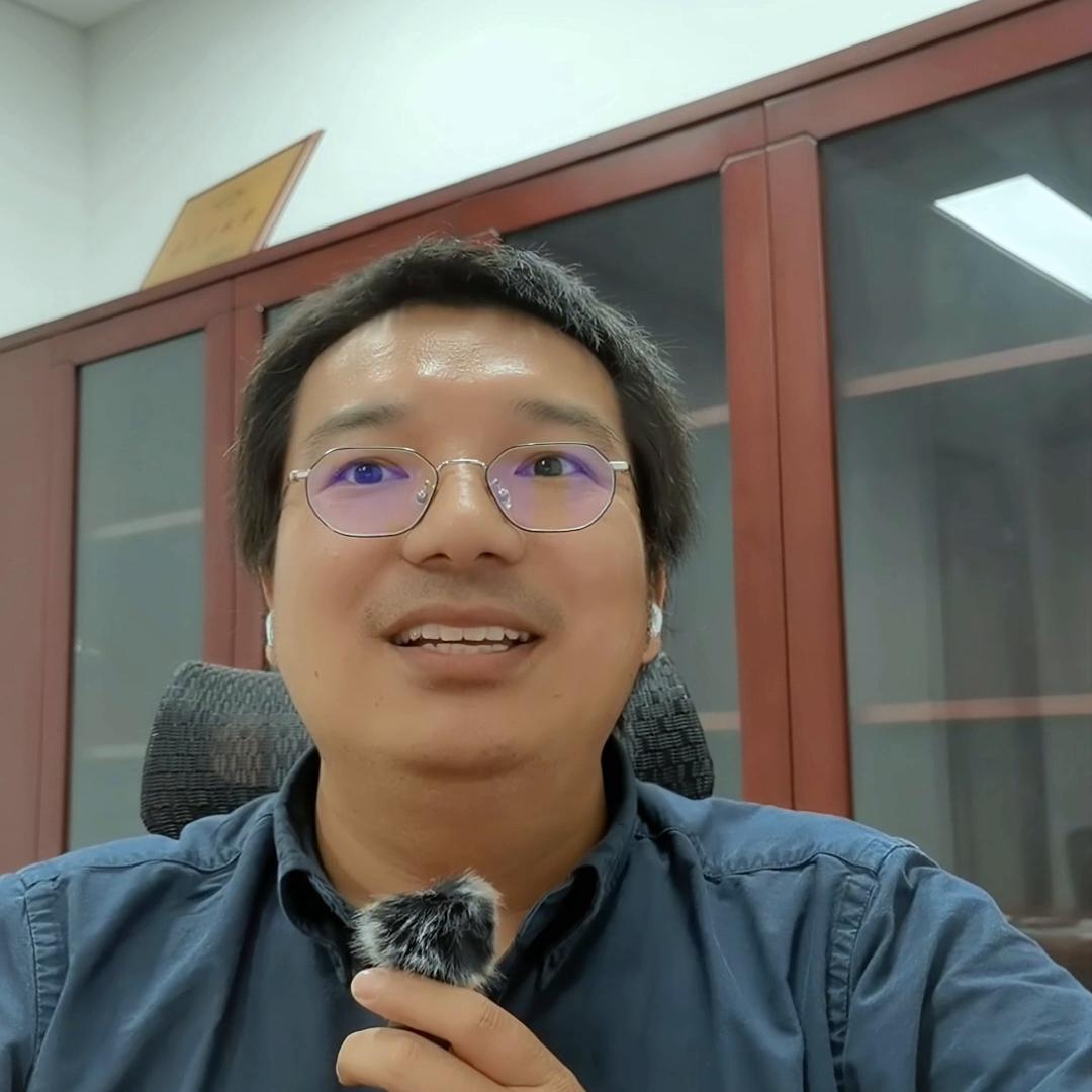 电力现货市场出现负电价,电力现货市场负电价