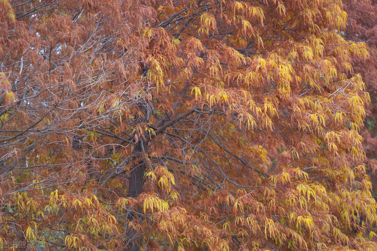 厦门旅游攻略必去的十个地方,厦门旅游攻略几个不错的地方必去