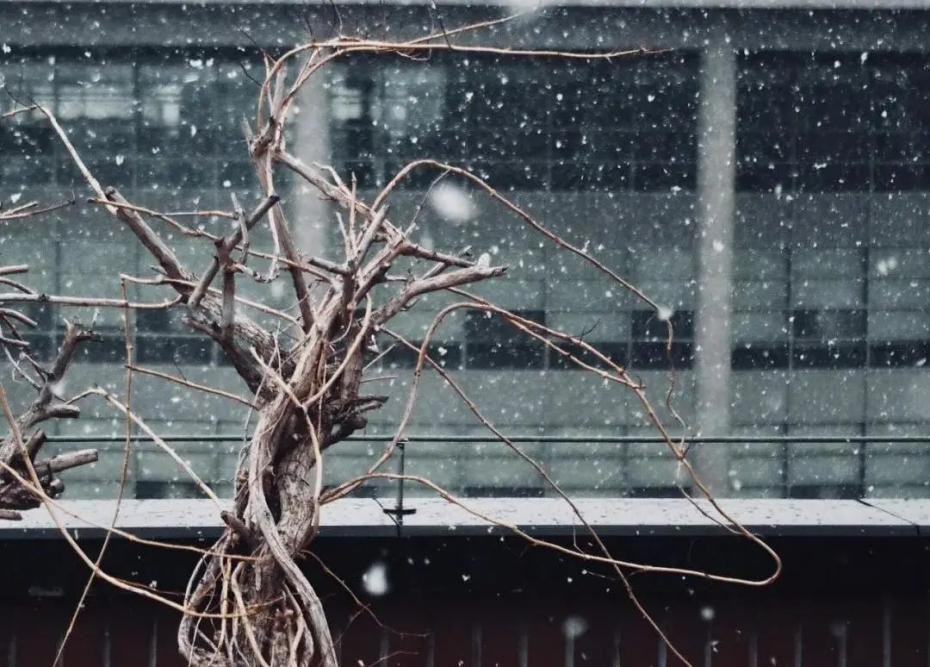 谓“黄埔”，扬神州！北京邮电大学：开通信之先风，沃盛世之中华！