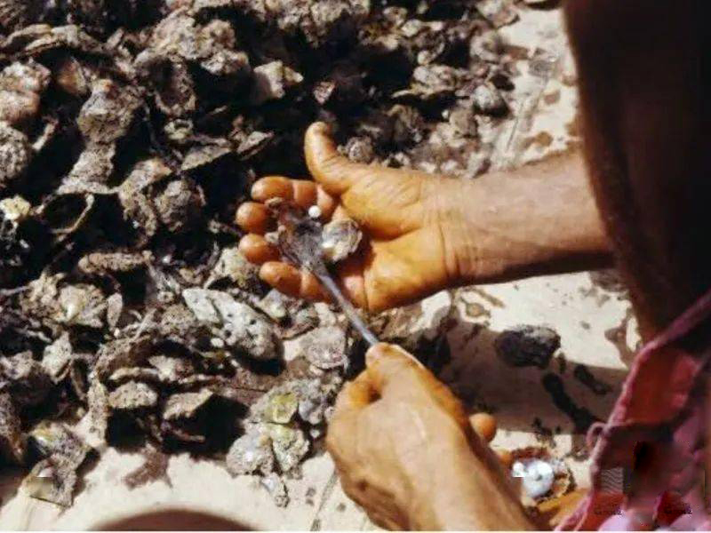 迪拜拥有十个世界之最,迪拜创造15个世界之最