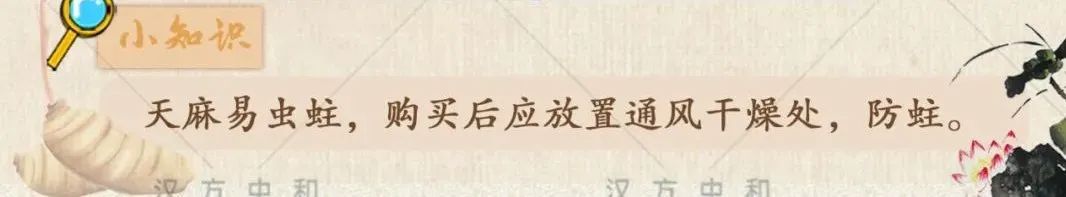 怎么分辨真天麻和假天麻,如何辨别真假天麻