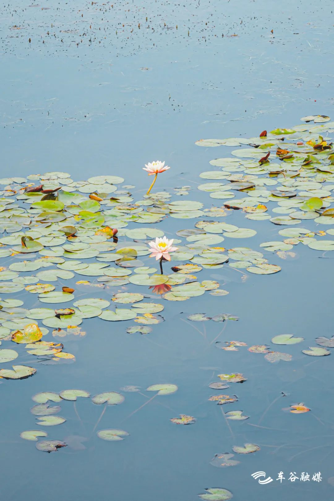 最美绿道骑行攻略,淘金山骑行绿道和东湖骑行绿道