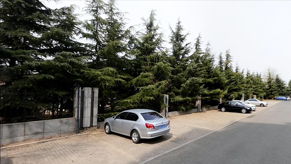 城阳万科桃花源三期噪音,城阳区噪音扰民怎么办