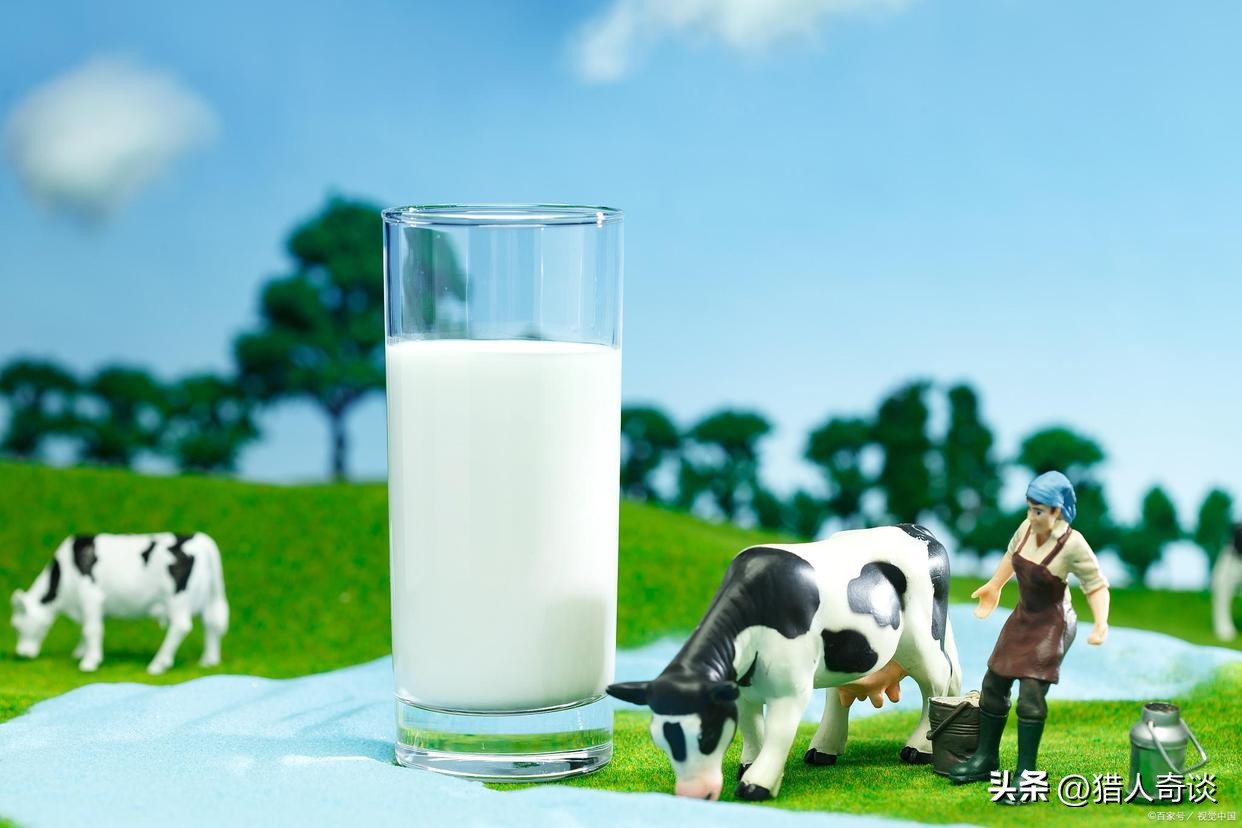 买纯牛奶是买伊利的还是蒙牛的,买牛奶买蒙牛好还是买伊利