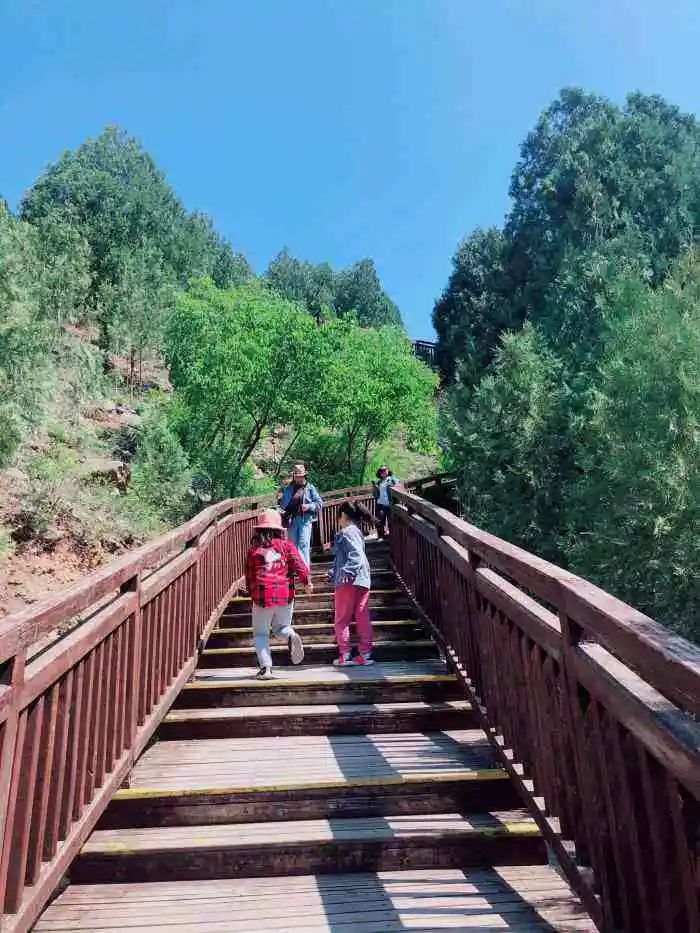 京郊步道旅游攻略,最惊艳的森林步道