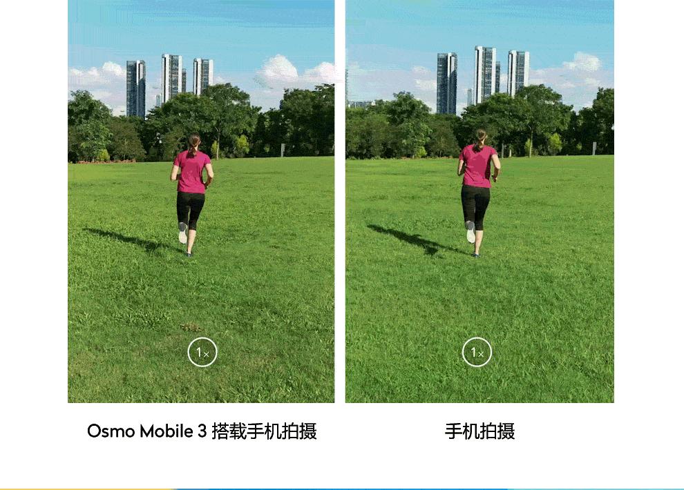 云台防抖是通过鸡头的原理,仿生学鸡头稳定器