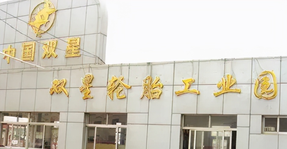 青岛双星副总张朕韬精通财务今年47岁年薪56.4万同职位他最高