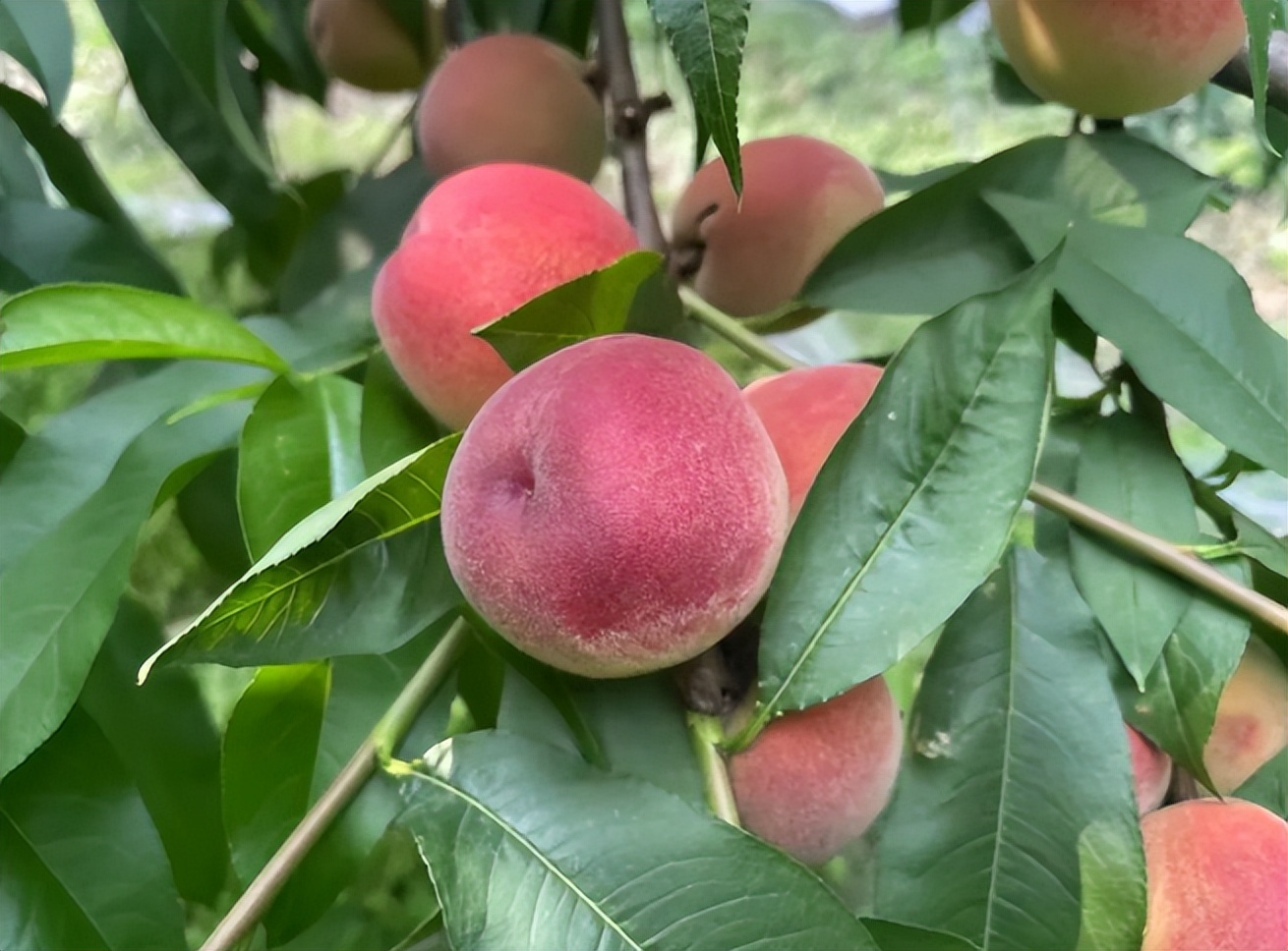 “我的梦想是超过同桌”华爱学校新学期，每个孩子都溢满七彩希望