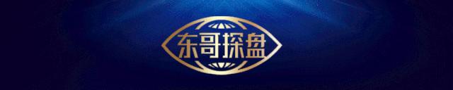 如果能投票,你最希望哪家郑州本土房企渡过危机?